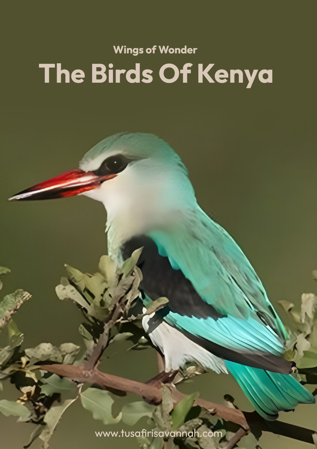 The Birds of Kenya
