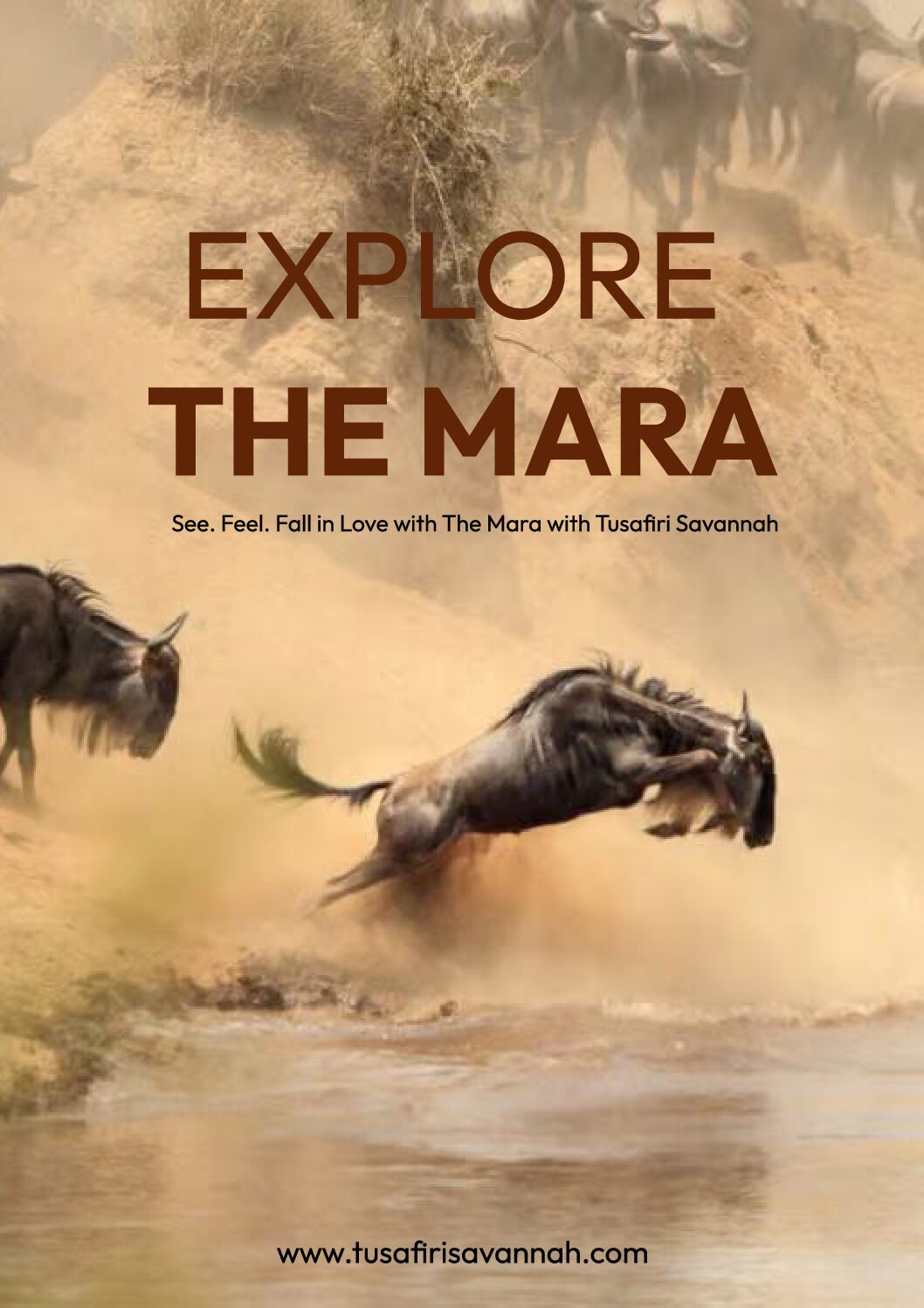 Explore The Mara