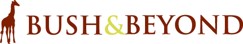 Bush & Beyond logo
